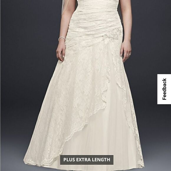 Davids Bridal Ivory Lace Strapless Plus Size Wedding Dress and Matching Veil - Picture 2 of 5